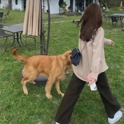 当扎卡里比弗来到小镇