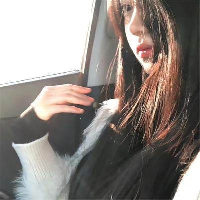 追星星的人第三季